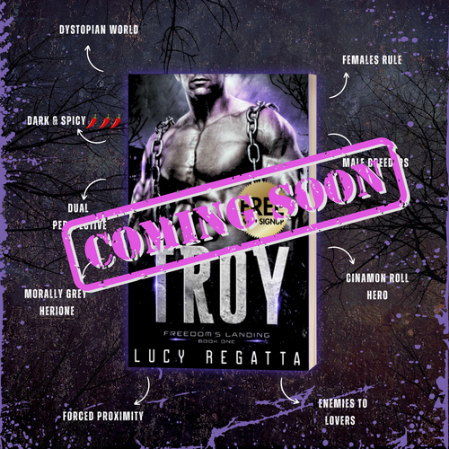 Troy eBook